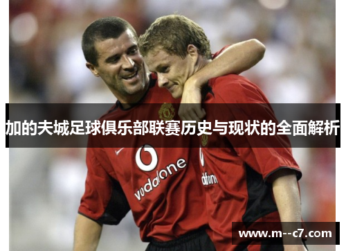 加的夫城足球俱乐部联赛历史与现状的全面解析