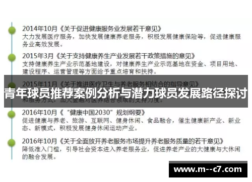 青年球员推荐案例分析与潜力球员发展路径探讨