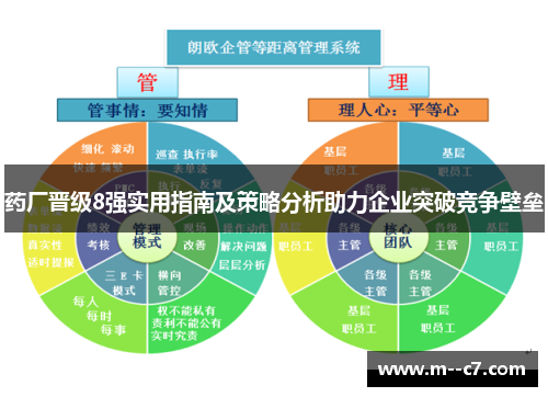 药厂晋级8强实用指南及策略分析助力企业突破竞争壁垒 药厂晋级8强实用指南及策略分析助力企业突破竞争壁垒