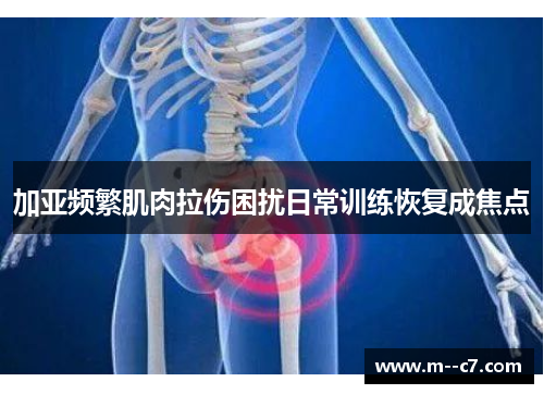 加亚频繁肌肉拉伤困扰日常训练恢复成焦点 加亚频繁肌肉拉伤困扰日常训练恢复成焦点