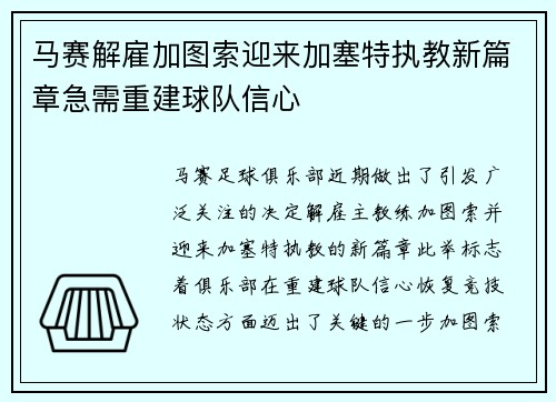马赛解雇加图索迎来加塞特执教新篇章急需重建球队信心