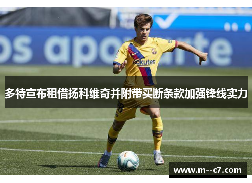 多特宣布租借扬科维奇并附带买断条款加强锋线实力