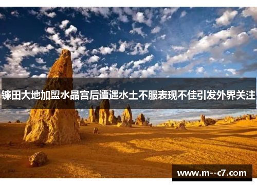 镰田大地加盟水晶宫后遭遇水土不服表现不佳引发外界关注